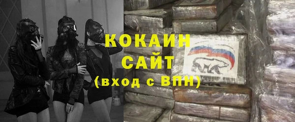 шишки Богородск